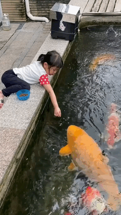 ReLife Global | Девочка кормит домашнего карпа на юге Китая.