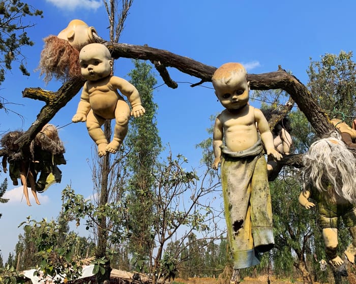 ReLife Global | Остров кукол в Мексике: жуткая история и туристическая достопримечательность