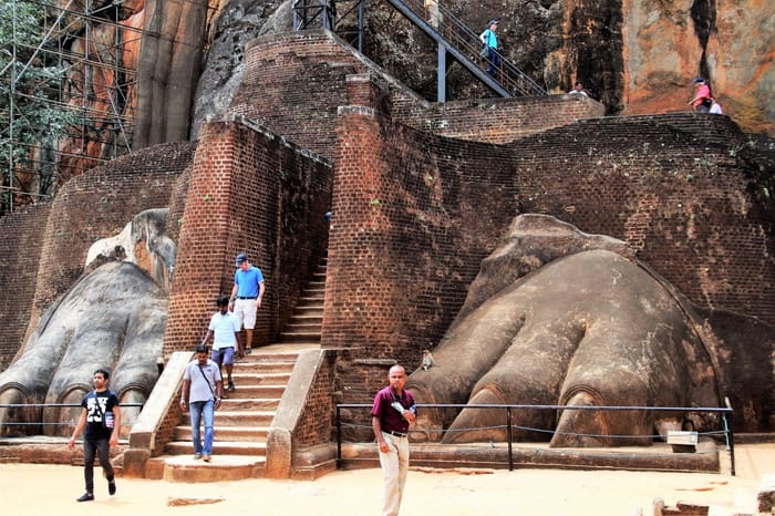 ReLife Global | 10 популярных достопримечательностей Шри-Ланки, что стоит посетить в 2024 году