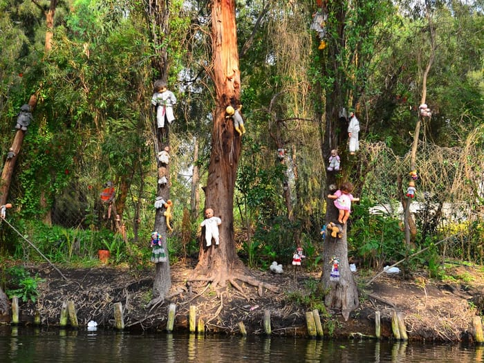ReLife Global | Остров кукол в Мексике: жуткая история и туристическая достопримечательность