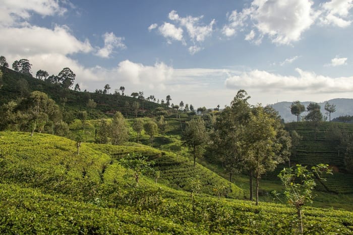 ReLife Global | Шри-Ланка запускает новую визовую систему для развития туризма и инвестиций